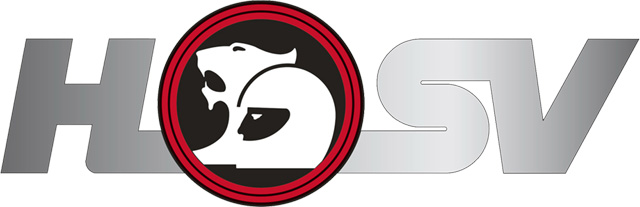 Holden Special Vehicles